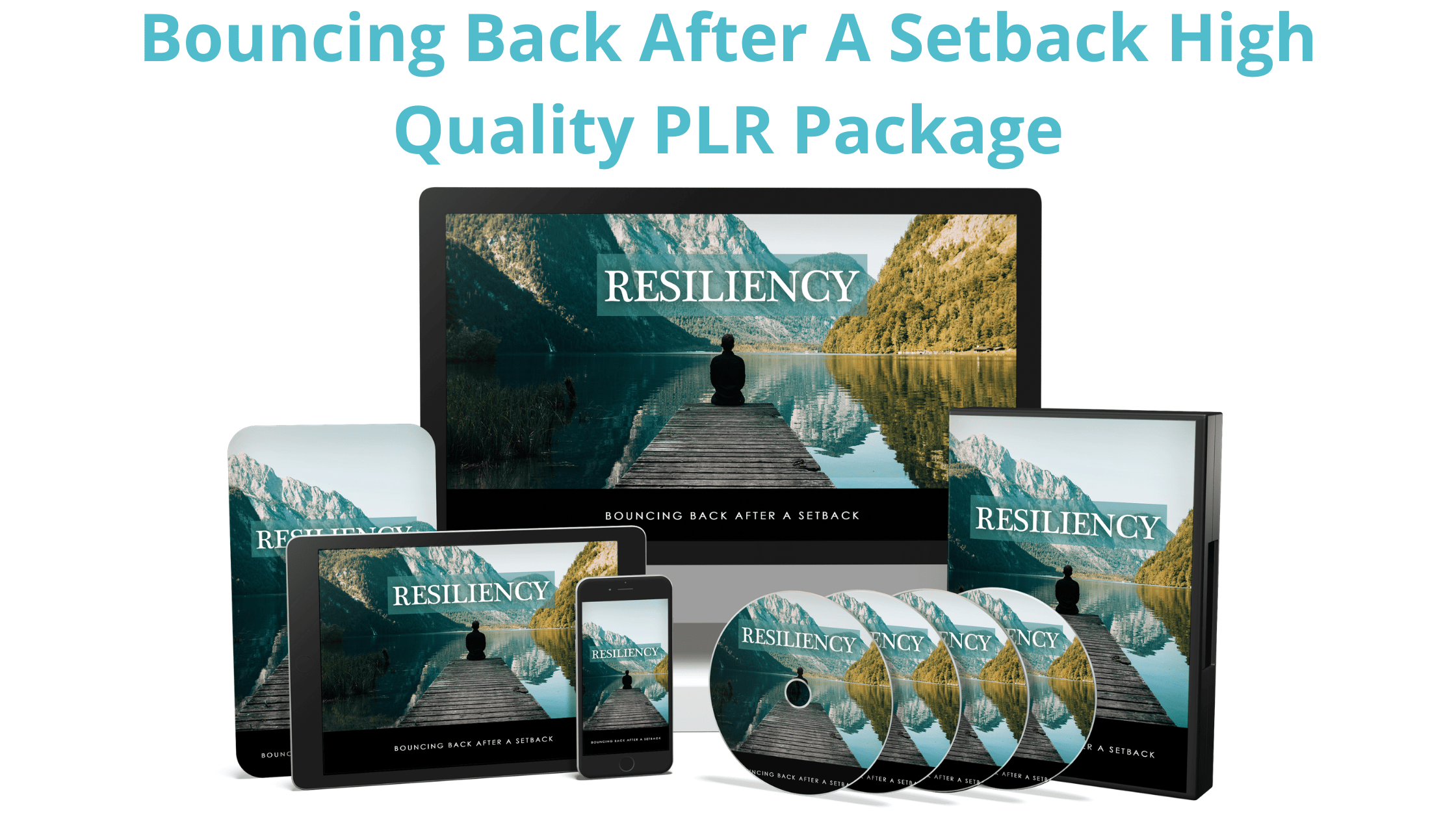 Resiliency PLR Review