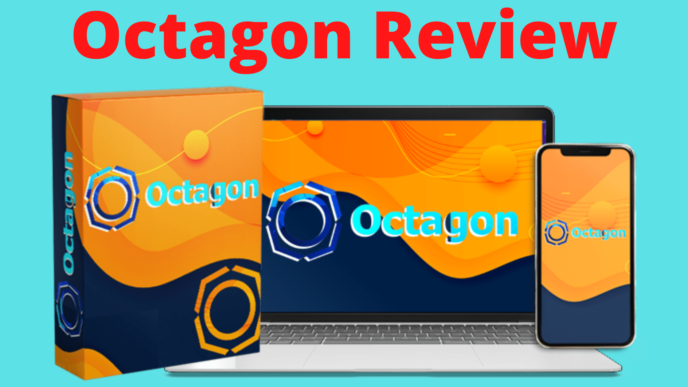 Octagon Review