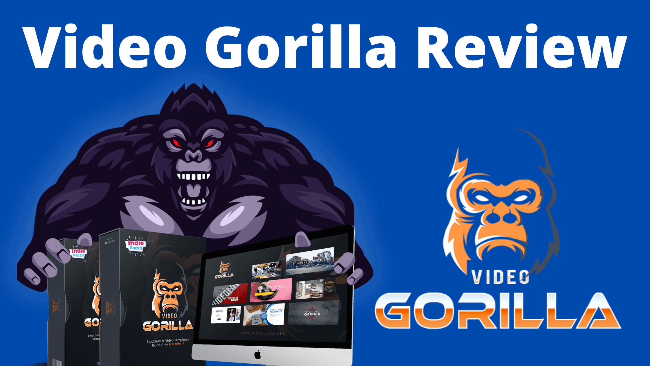 Video Gorilla Review