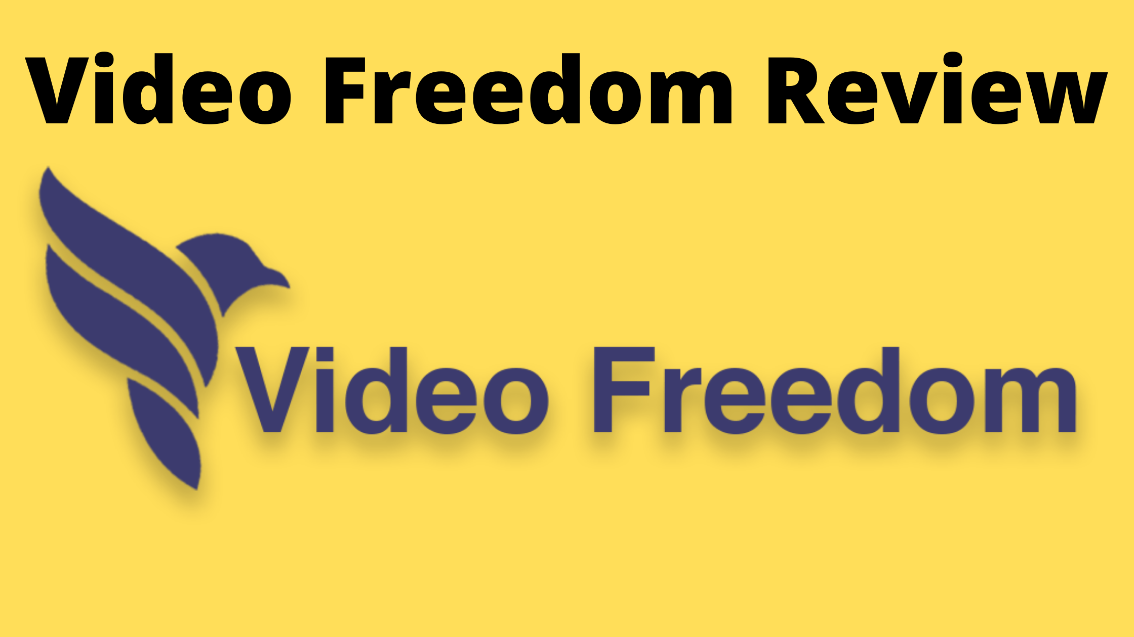 Video Freedom Review