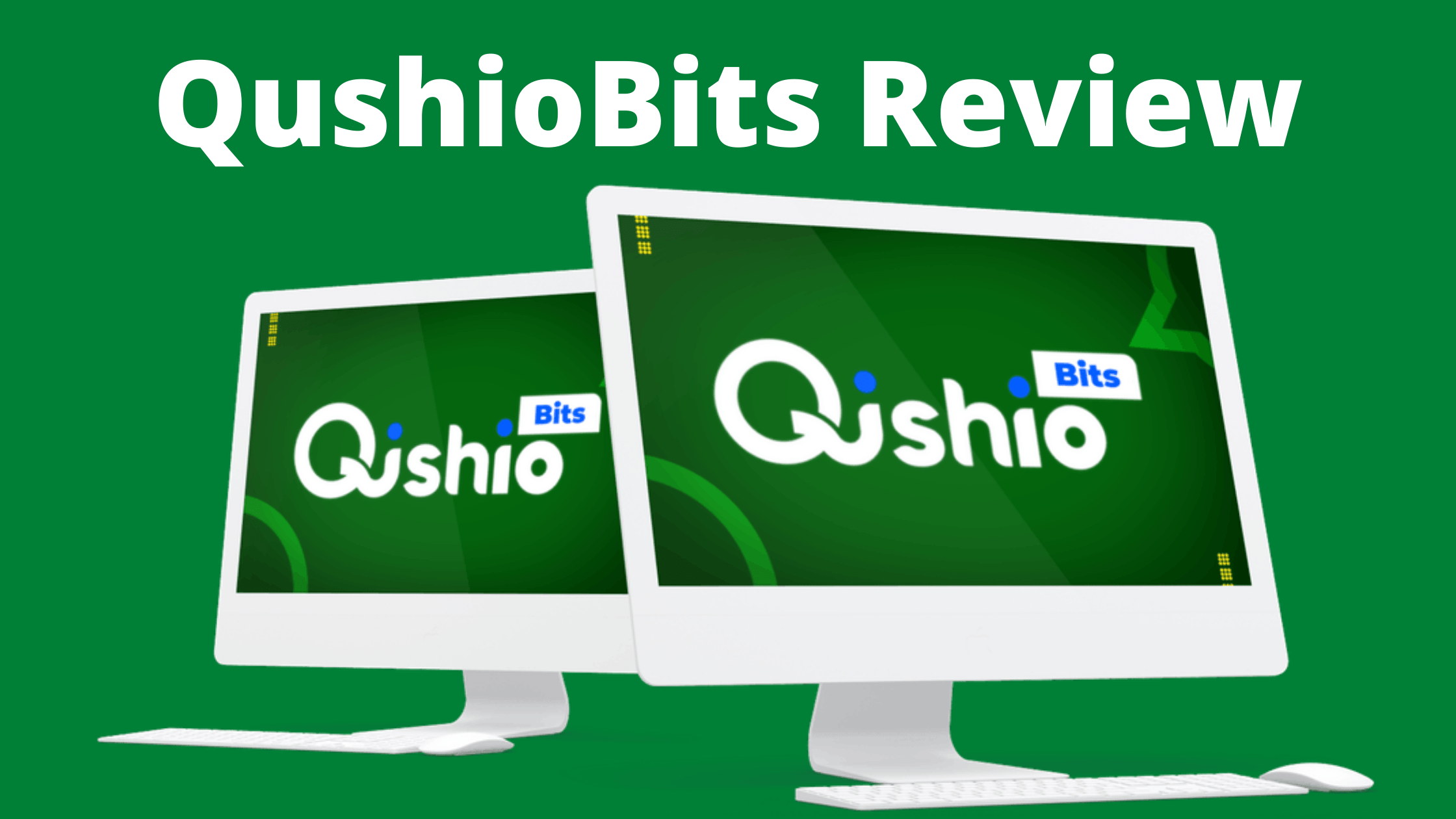 QushioBits Review