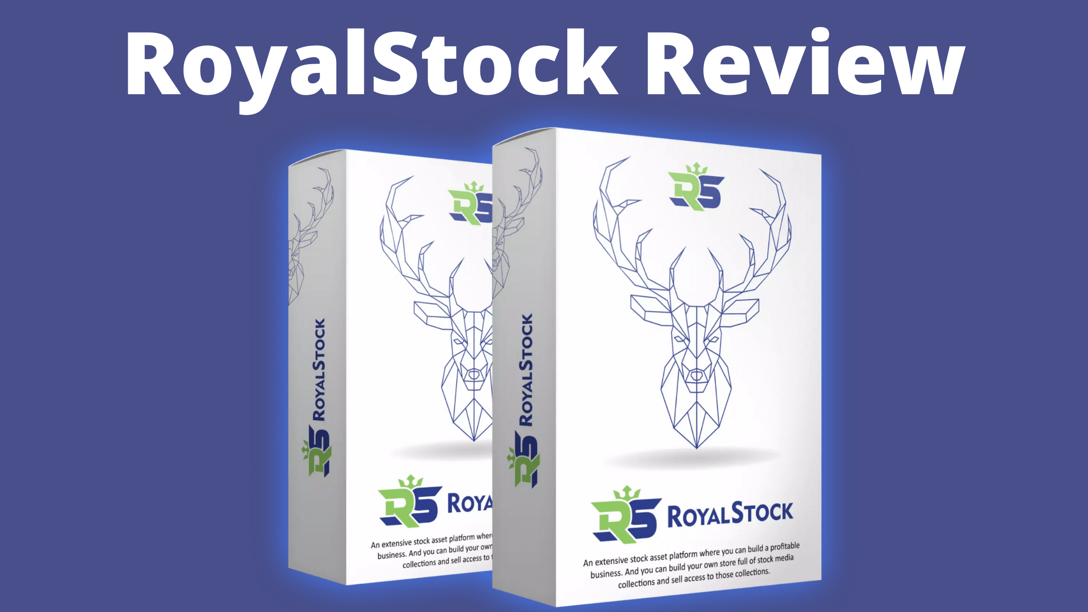 RoyalStock Review