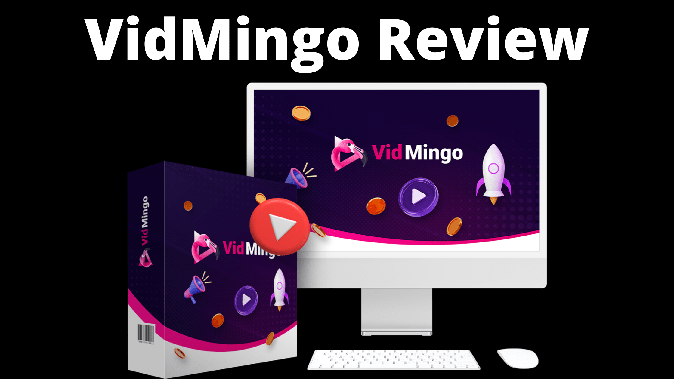 VidMingo Review