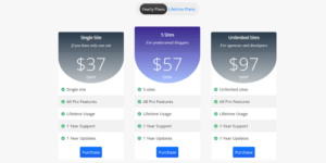 Swift WordPress Theme price annually