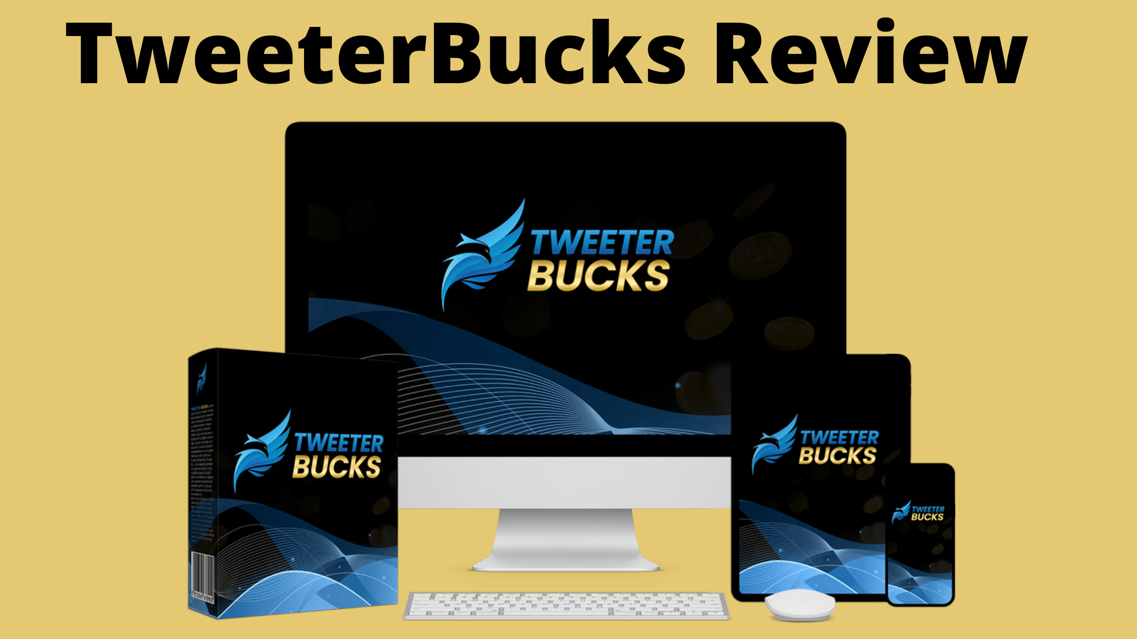 TweeterBucks Review