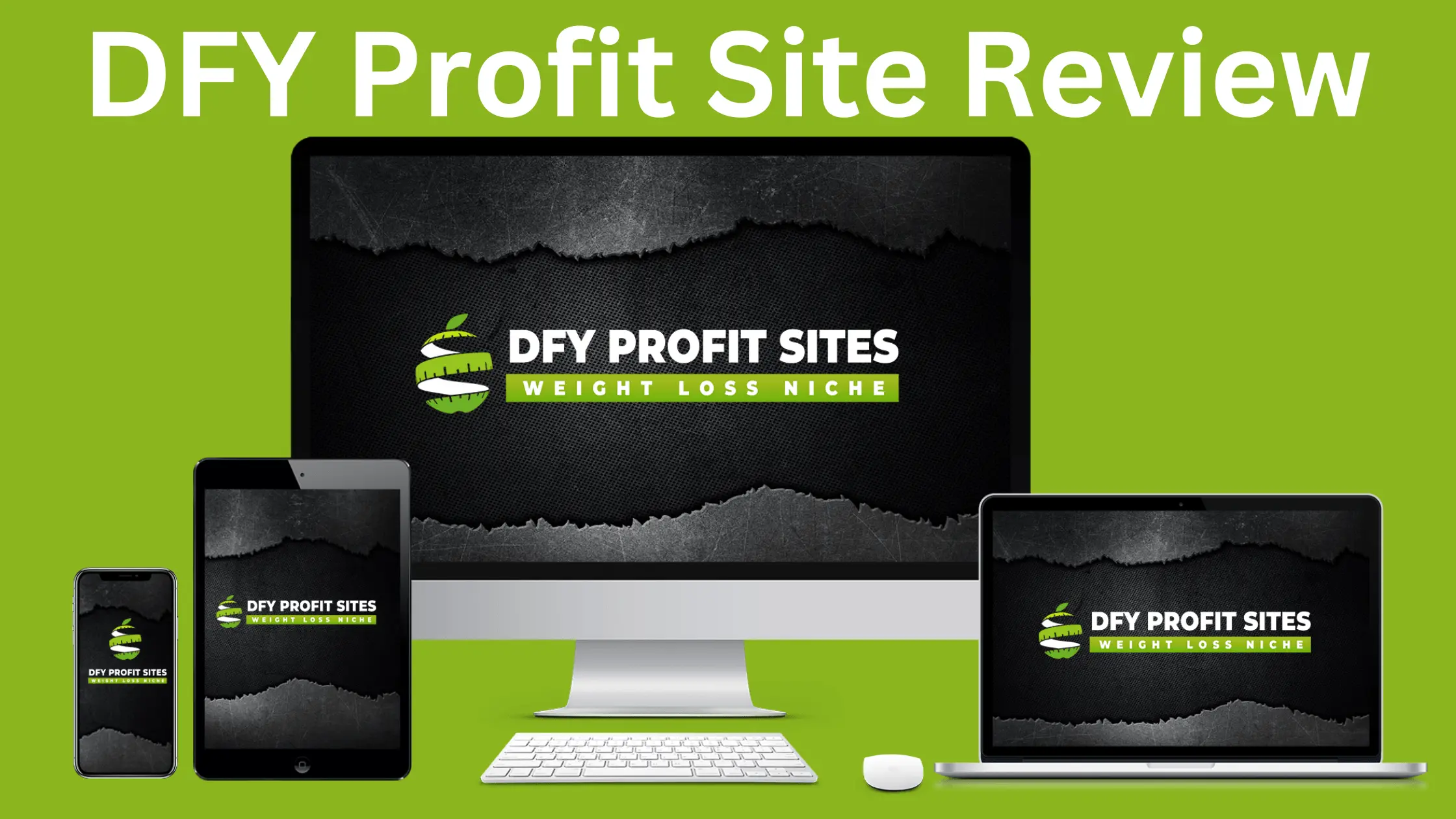 DFY Profit Site Review