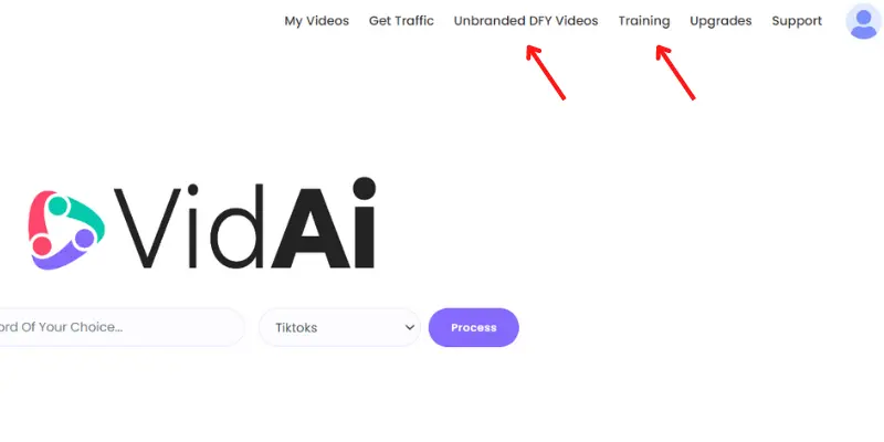 VidAI DFY videos and training